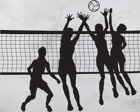 Information about the Game of Volleyball