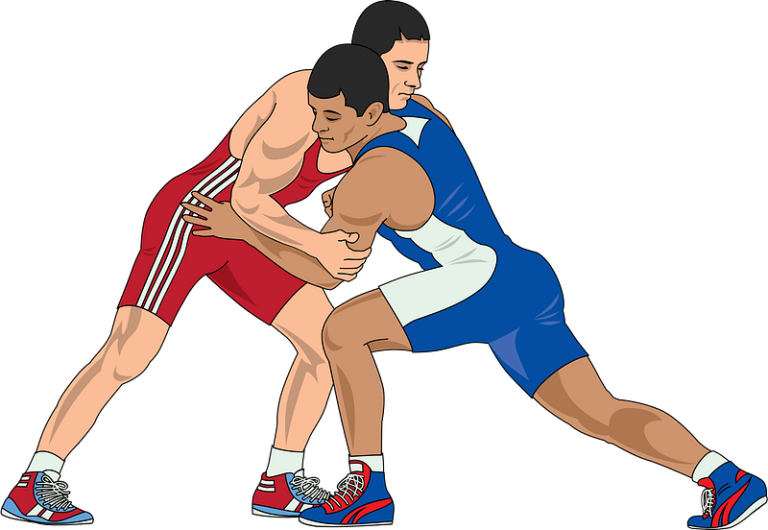 Information about the Sport of Wrestling