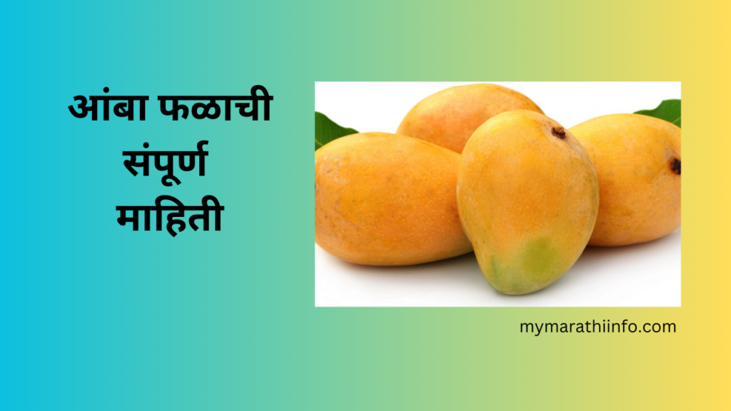 Mango Fruit Information